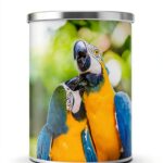 Colombia History Travel Guide Kindle English Publication-0