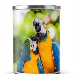 Colombia History Travel Guide Kindle English Publication-0