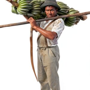 NYU Press Colombian History Book English Digital Edition-0